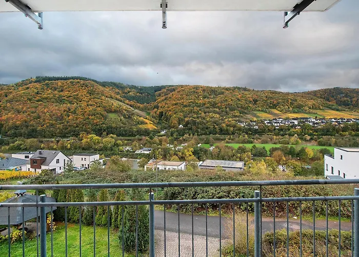 Alte Rebe By Ascar Cusa Bernkastel-Kues